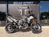 TIGER 900 RALLY PRO