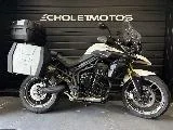 TIGER 800