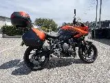 TIGER SPORT 660
