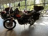 TIGER 900 RALLY PRO