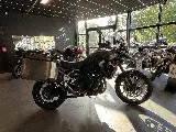 Tiger 900 GT PRO