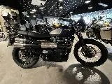 STREET SCRAMBLER  900