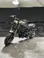 LEONCINO 800