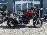 Tiger 900 GT PRO
