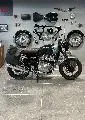 INTERCEPTOR