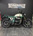 INTERCEPTOR BEAR 650