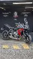 TIGER SPORT 660