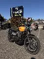 STREET SCRAMBLER  900