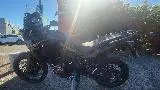 CRF 1100  L AFRICA TWIN