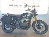 INTERCEPTOR BEAR 650