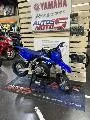 65 YZ 2025