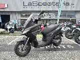 SXR 50