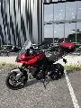 TIGER SPORT 660