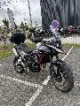 Tiger 900 GT Pro A2