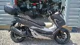 NSS FORZA 300