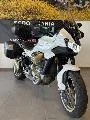 V100  MANDELLO