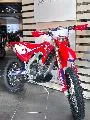 crf 300 rx