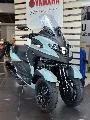 TRICITY 300