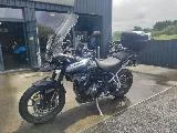 Tiger 900 GT PRO