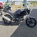 695 MONSTER