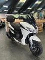 SXR 50