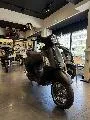 PRIMAVERA 125