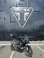 Tiger 900 GT PRO