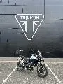 Tiger 900 GT PRO