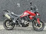 Tiger 900 GT PRO