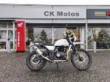HIMALAYAN11 410
