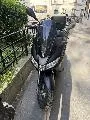 SXR 50