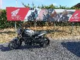 LEONCINO 800 T