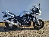 FZS FAZER