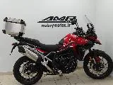 Tiger 900 GT PRO