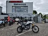 TIGER 900 RALLY PRO