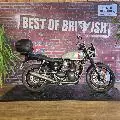 STREET TWIN  900