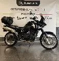 TIGER 955