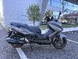 BELENA 300