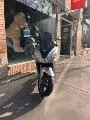 SXR 50