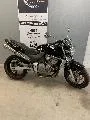 CB 600 HORNET