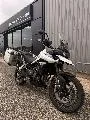 Tiger 900 GT PRO
