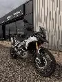 TIGER 900 RALLY PRO