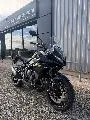 TIGER SPORT 800