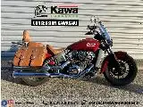 SCOUT 1133 ROGUE