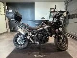 Tiger 900 GT PRO