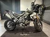 TIGER 900 RALLY PRO