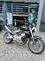 CB 600 HORNET