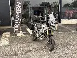 TIGER 1200 RALLY PRO