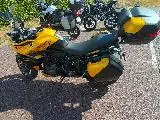 TIGER SPORT 800