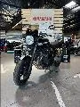 XJR 1300